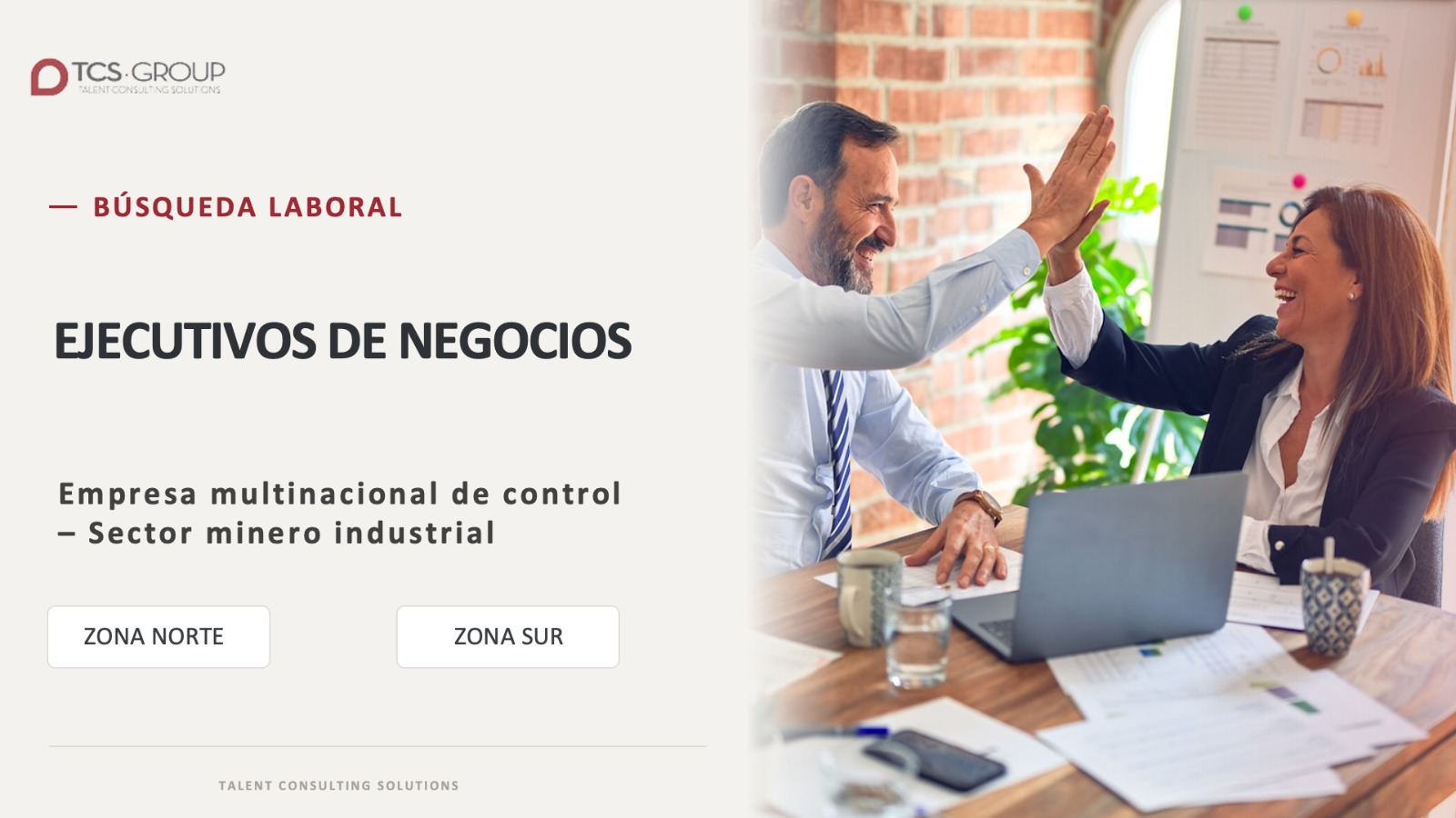 Ejecutivo/a de Desarrollo de Negocios